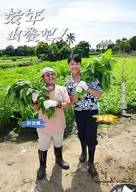城市味觉美食综艺在线观看